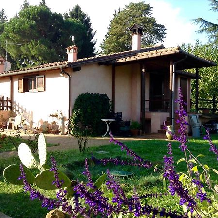 Olive Tree Hill Bed & Breakfast Zagarolo Exterior photo
