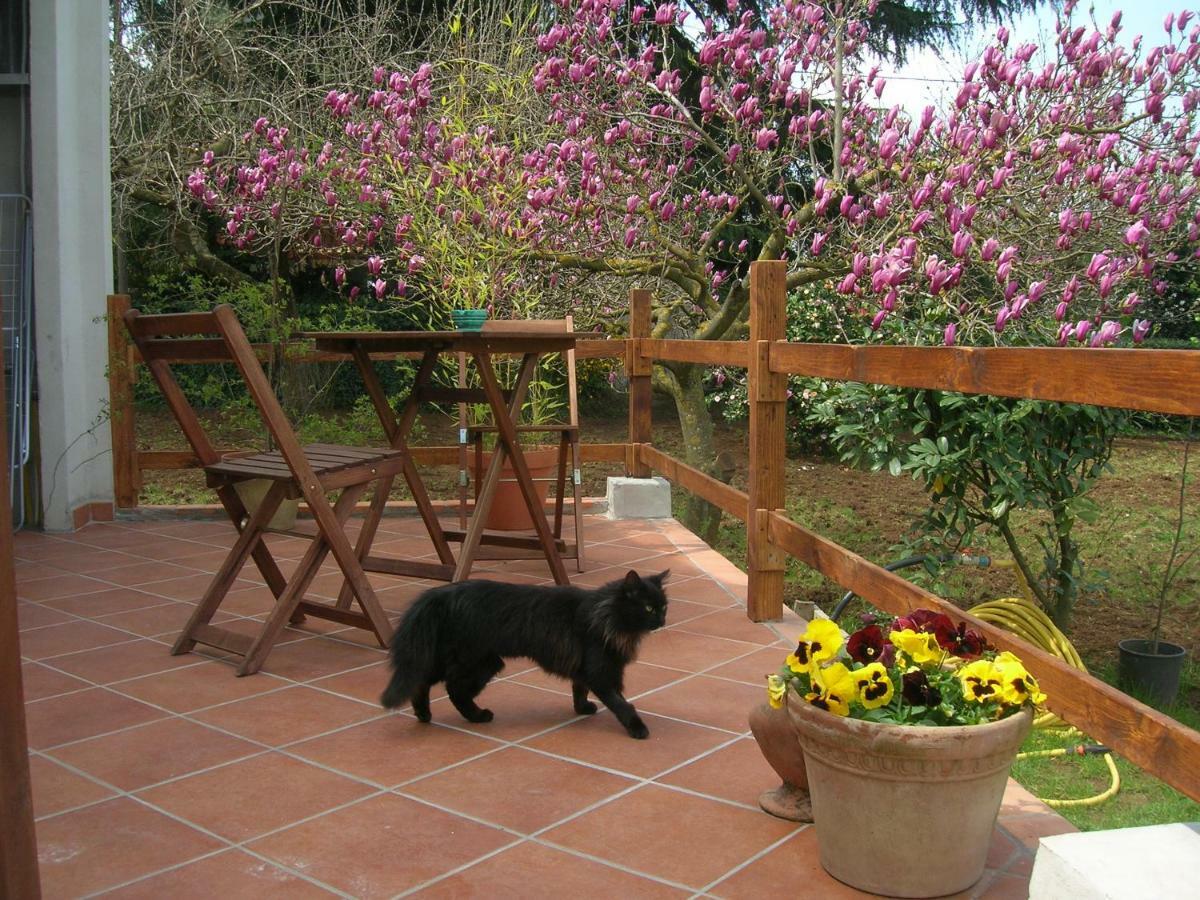Olive Tree Hill Bed & Breakfast Zagarolo Exterior photo