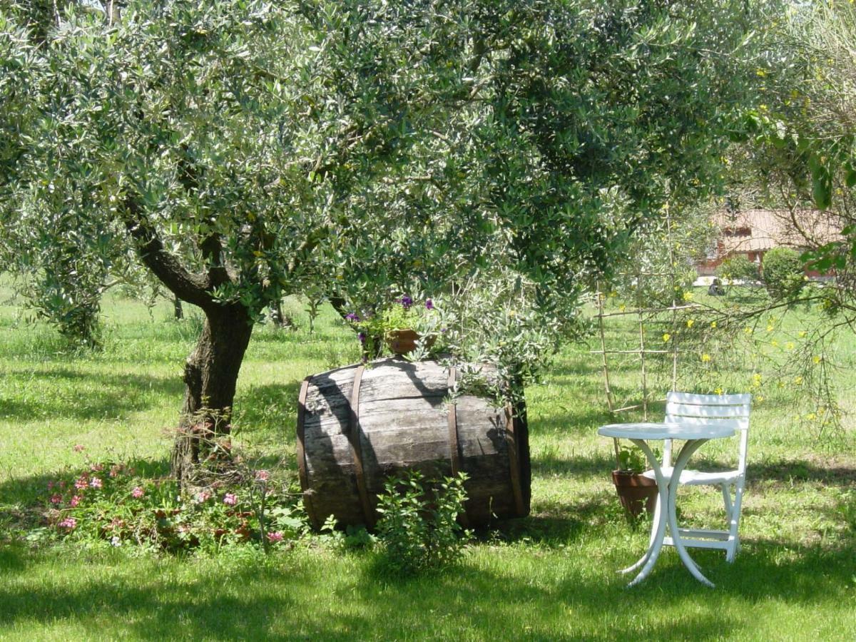 Olive Tree Hill Bed & Breakfast Zagarolo Exterior photo