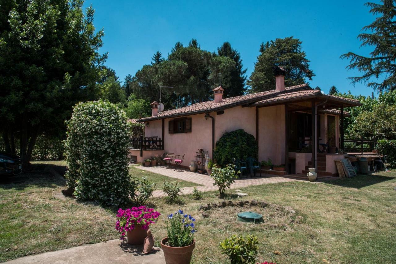 Olive Tree Hill Bed & Breakfast Zagarolo Exterior photo